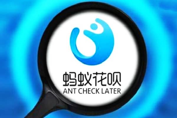 本人已实名的手机号是什么?